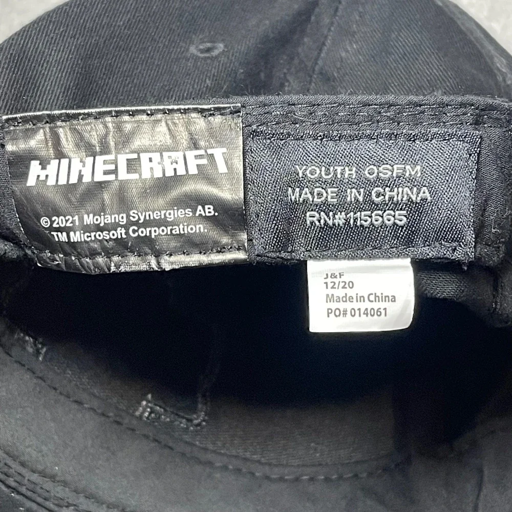 Minecraft see photos